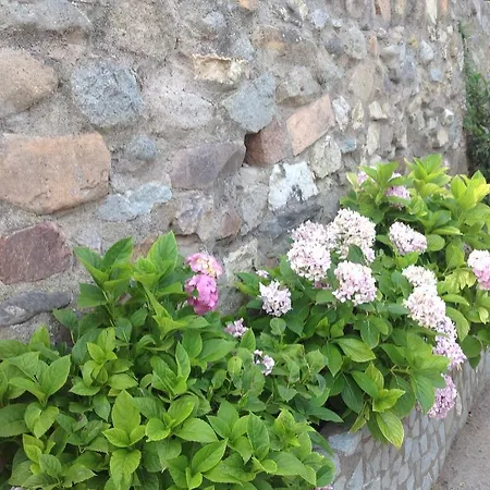 Clerc